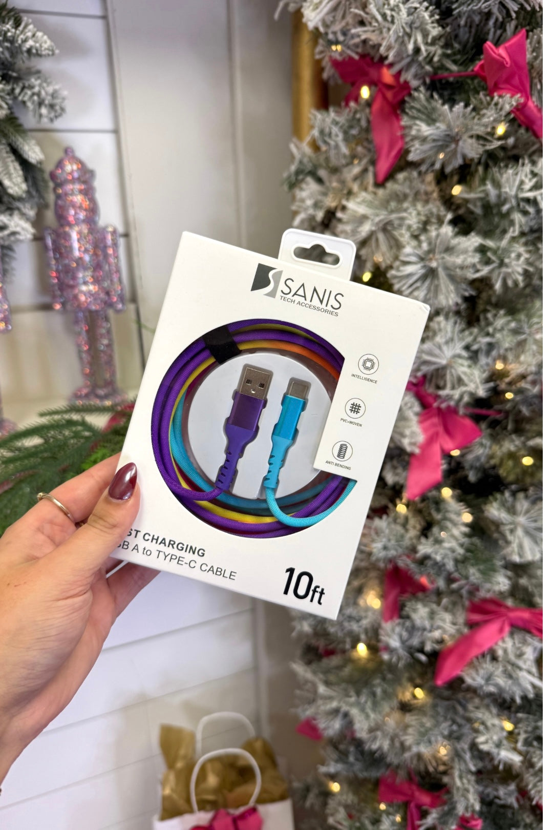 Sanis 10ft Fast Charging Cable