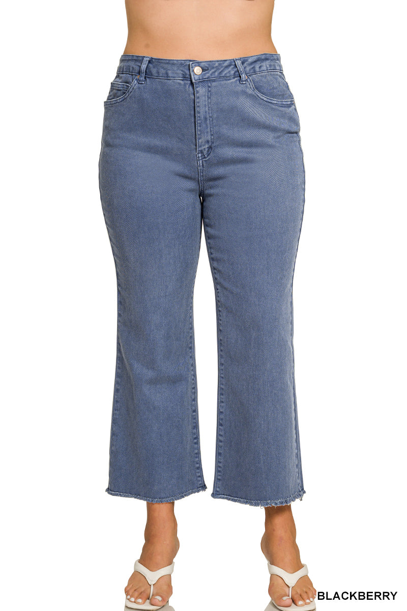 Washed Frayed Pants - Curvy