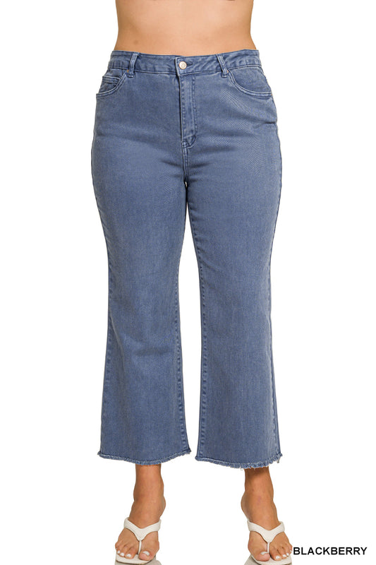 Washed Frayed Pants - Curvy