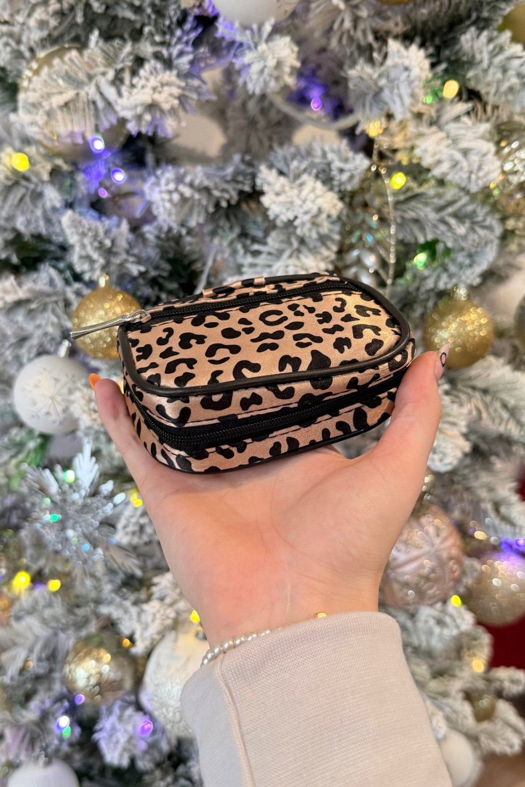 Wellness Keeper Zippered Pill & Vitamin Case